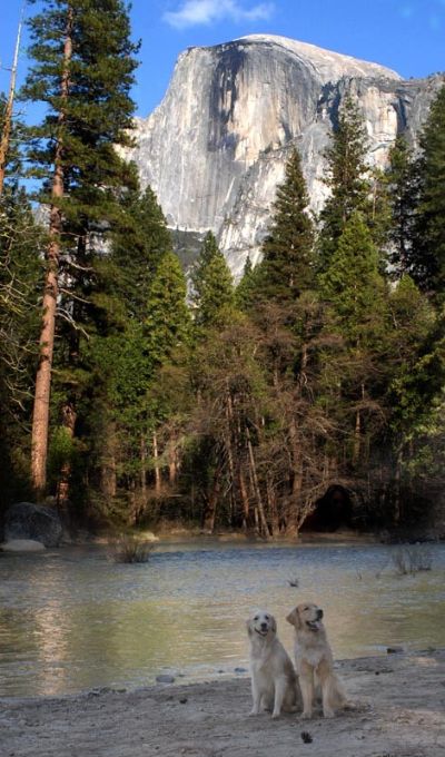 Sierra and Obie in Yosemite