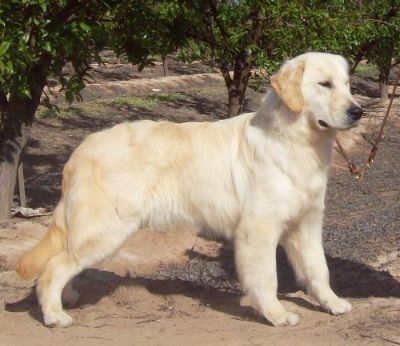 "Kismet" at 1 yr old