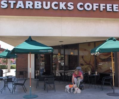 Starbuck's Puppies!