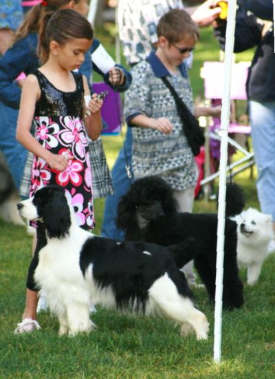 Daniela and Harley in the ring