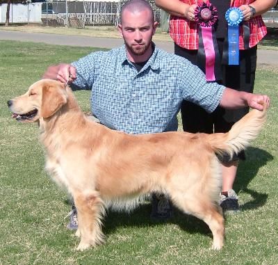 Remmy Best Of Breed & Group 1