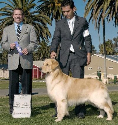 Multi CH Eldorado's Promises D'Best H3X and judge Dana Cline with handler Christian Rangel at the Ventura, CA Winterfest AKC shows.