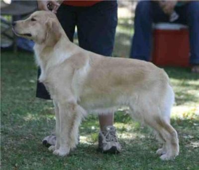 Hope, winning her Champion title