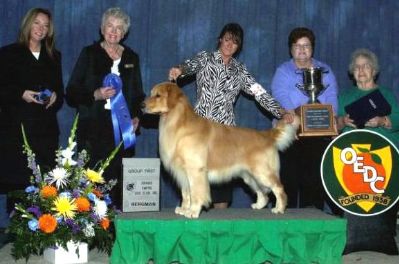 TONKA winning a Group FIRST in San Bernadino, CA. AmCH/U-CH/Int'l/Nat'l CH Eldorado's Promises D'Best H3X