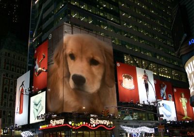 Miranda on billboard in NYC