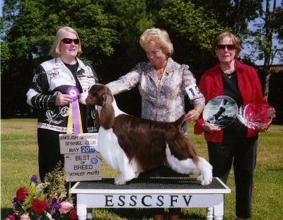 Cap'n Jack and Lynda winning another Springer Specialty