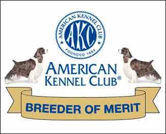 AKC BREEDER OF MERIT!