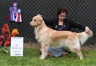 Faith & Heather UKC show Oct 06