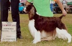 Keeli New AKC Champion!