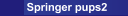 Springer Plans